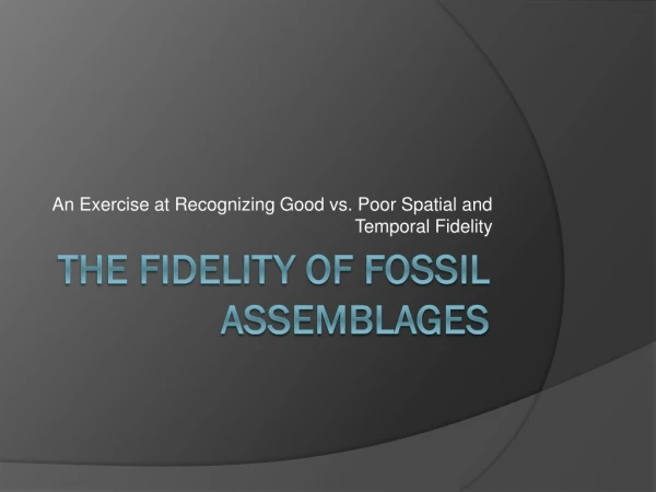 The Fidelity of Fossil Assemblages