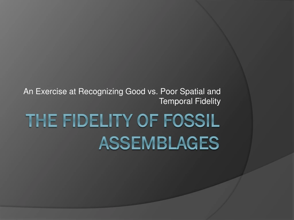 an exercise at recognizing good vs poor spatial and temporal fidelity