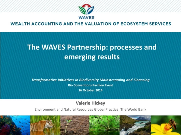 The WAVES Partnership: processes and emerging results