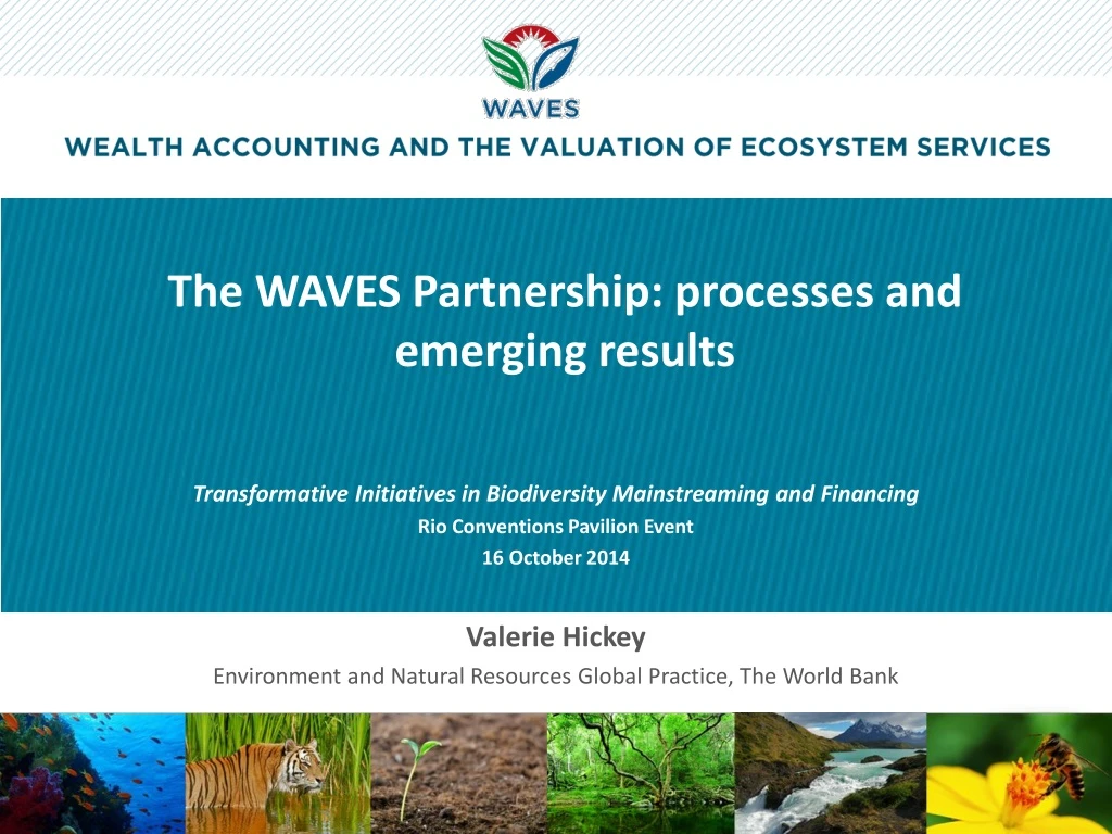 the waves partnership processes and emerging results