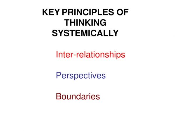 KEY PRINCIPLES OF THINKING SYSTEMICALLY