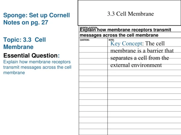 Sponge: Set up Cornell Notes on pg. 27 Topic: 3.3  Cell Membrane