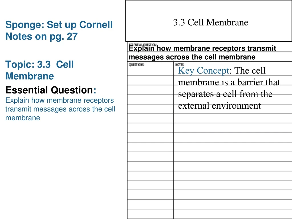 3 3 cell membrane