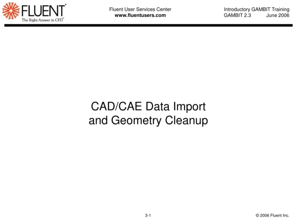 CAD/CAE Data Import and Geometry Cleanup