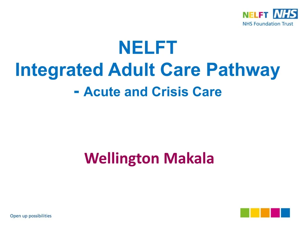 nelft integrated adult care pathway acute and crisis care