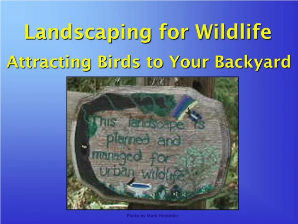 Landscaping for Wildlife