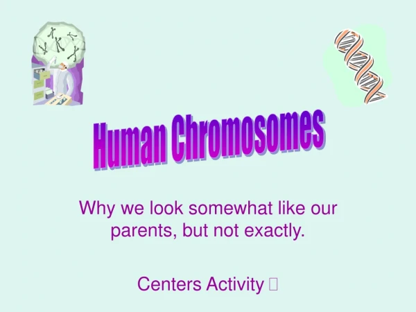 Why we look somewhat like our parents, but not exactly. Centers Activity  