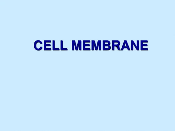 CELL MEMBRANE