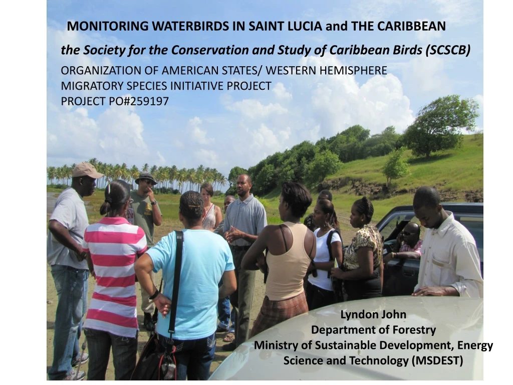 monitoring waterbirds in saint lucia