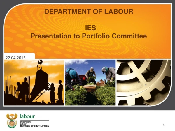 DEPARTMENT OF LABOUR    IES Presentation to Portfolio Committee
