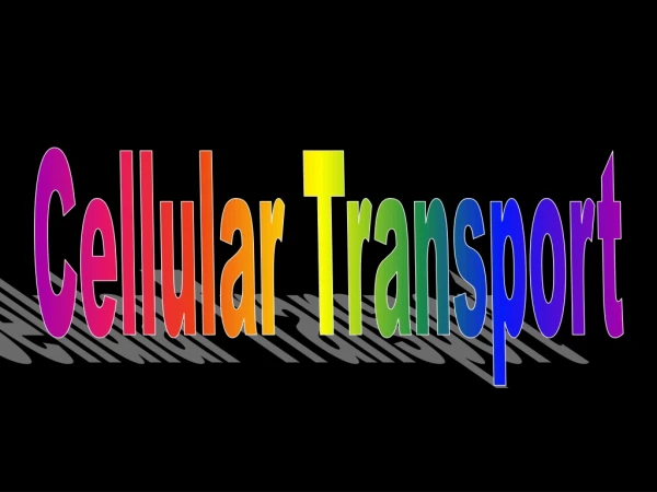 Cellular Transport