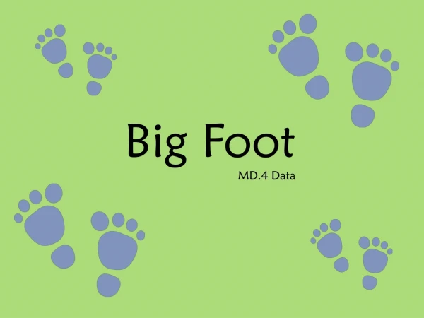 Big Foot MD.4 Data