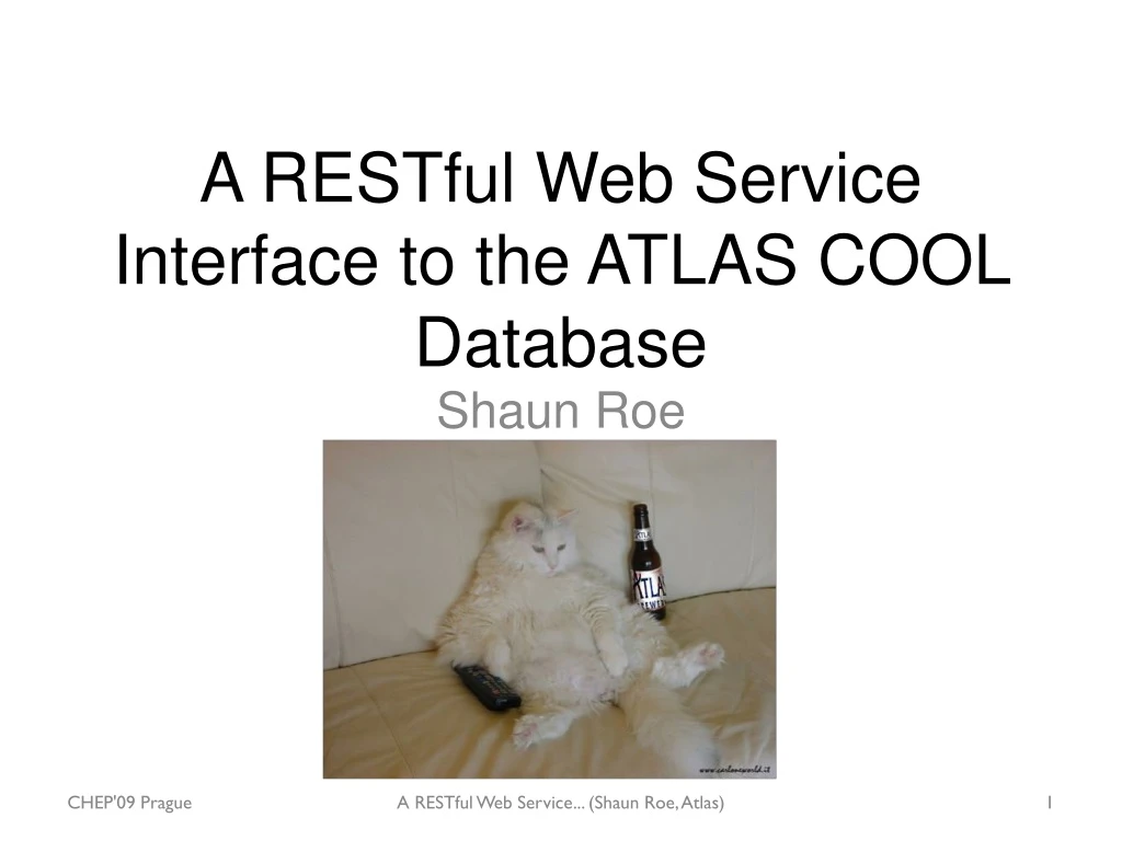 a restful web service interface to the atlas cool database