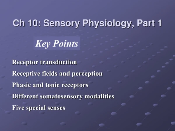 Ch 10: Sensory Physiology, Part 1