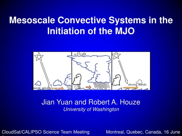 Mesoscale Convective Systems in the Initiation of the MJO