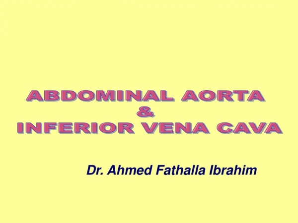 ABDOMINAL AORTA  &amp;  INFERIOR VENA CAVA