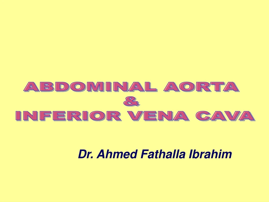 abdominal aorta inferior vena cava