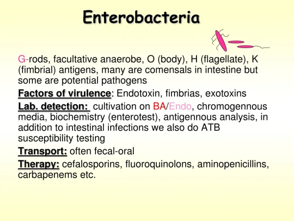 Enterobacteria