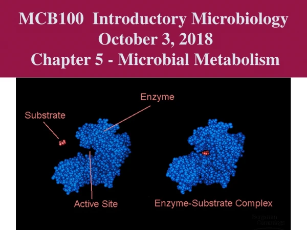 MCB100  Introductory Microbiology  October 3, 2018 Chapter 5 - Microbial Metabolism
