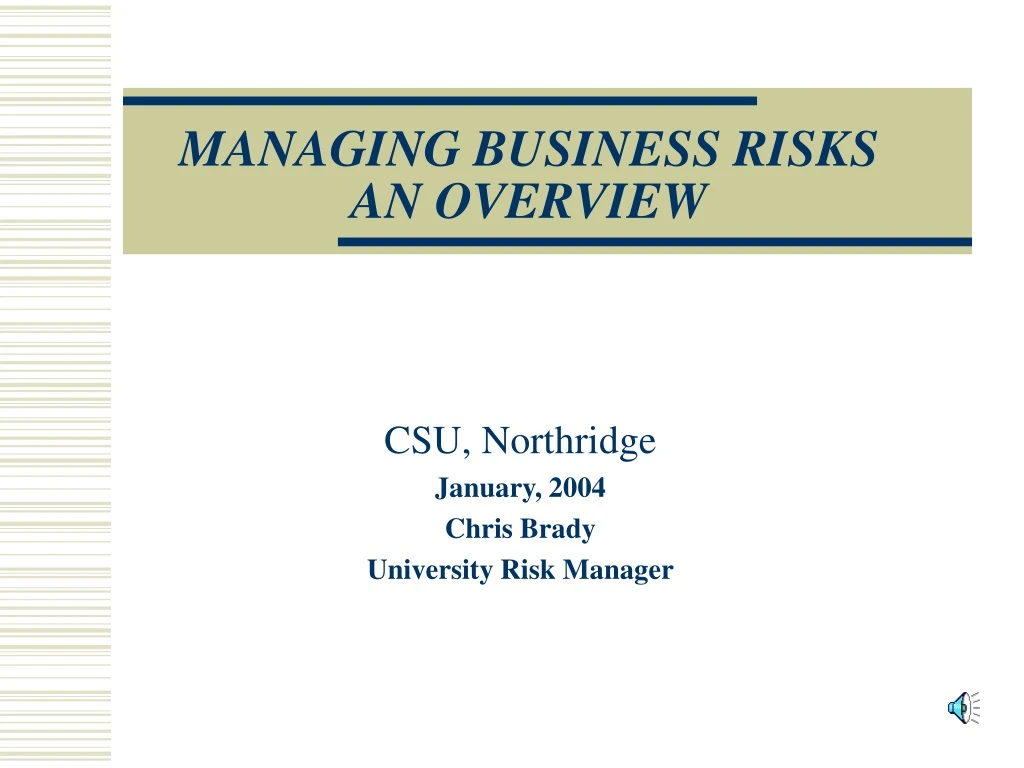 managing business risks an overview