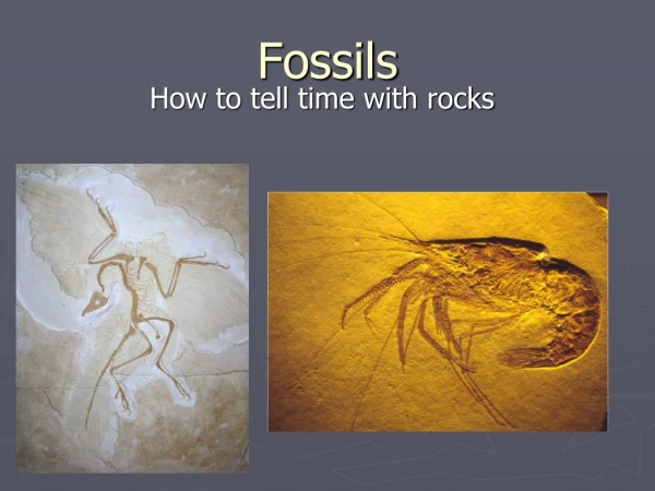 Fossils