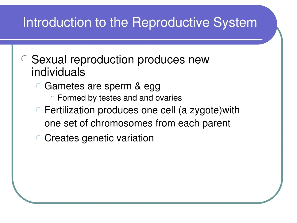 introduction to the reproductive system