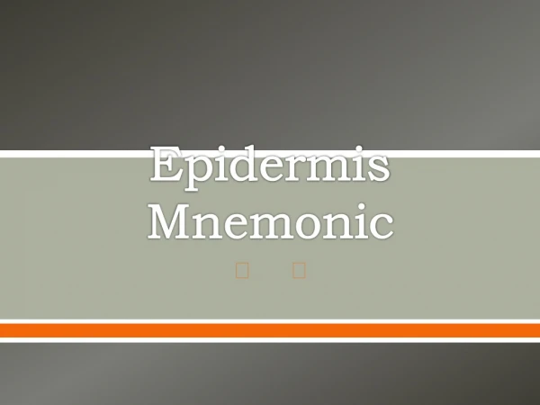 Epidermis Mnemonic