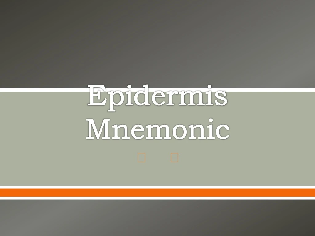 epidermis mnemonic