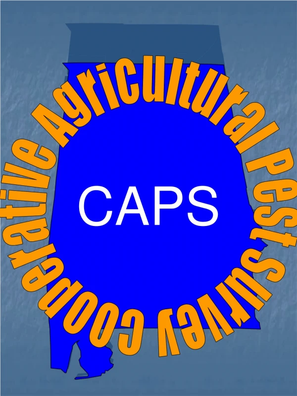 CAPS