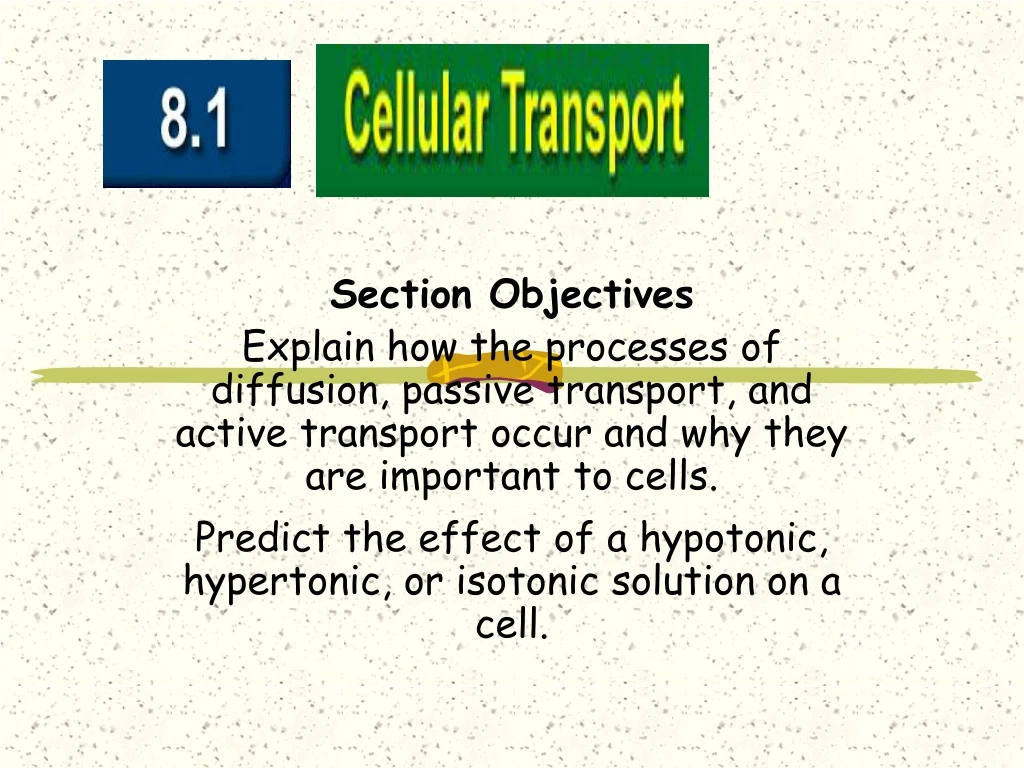 section objectives explain how the processes