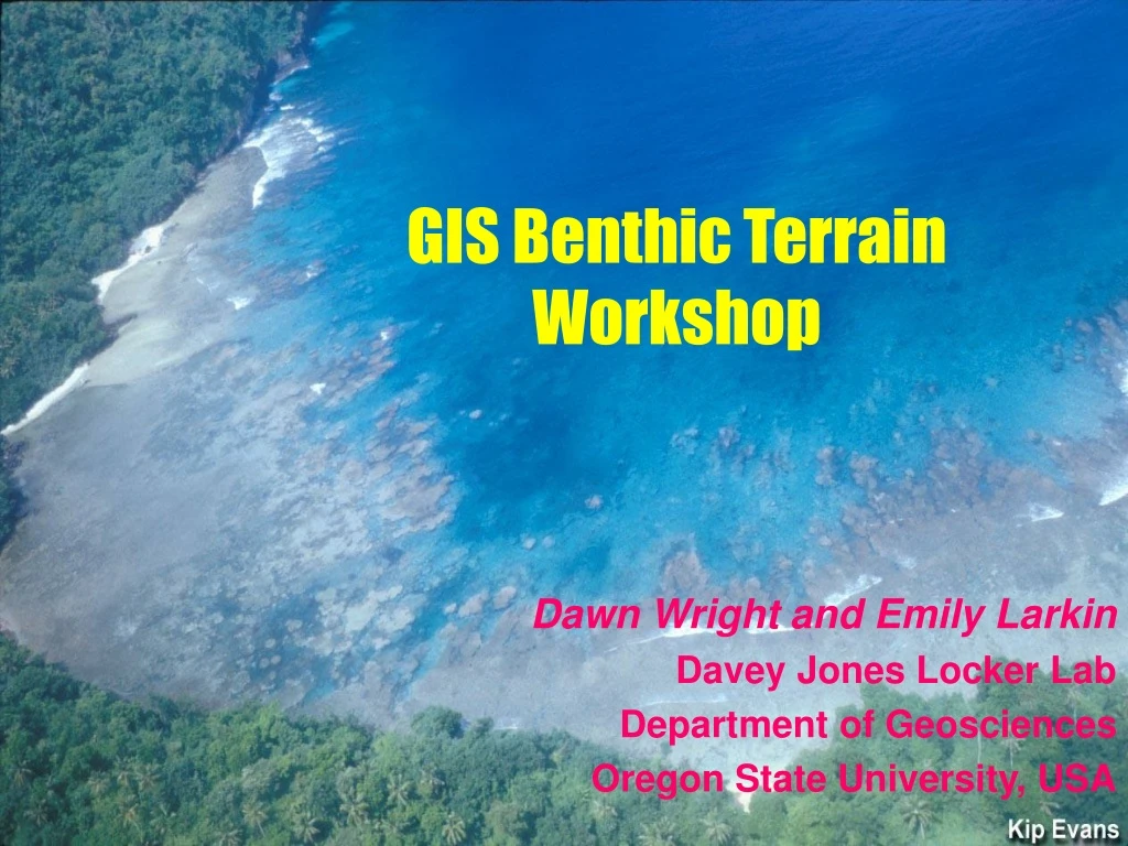 gis benthic terrain workshop