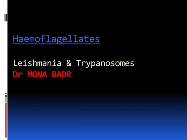 Haemoflagellates Leishmania  &amp; Trypanosomes Dr  MONA BADR