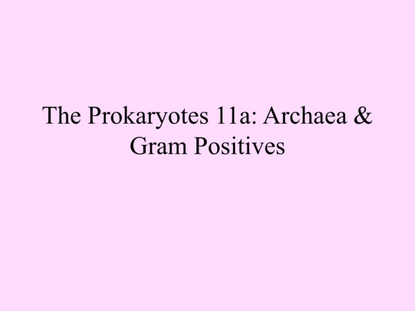 The Prokaryotes 11a: Archaea &amp; Gram Positives