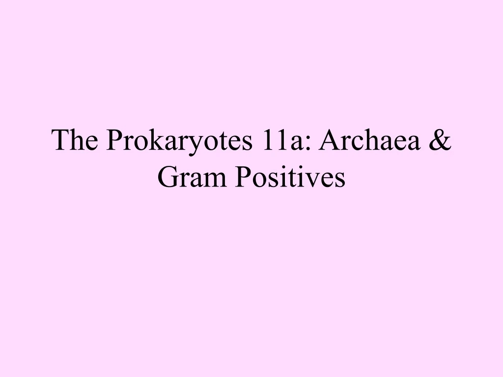 the prokaryotes 11a archaea gram positives