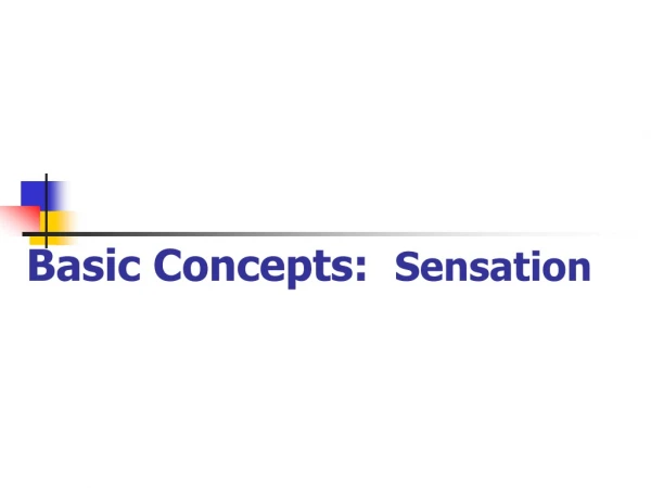 Basic Concepts:   Sensation