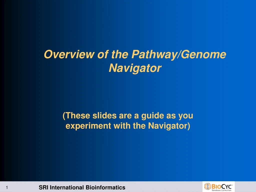 overview of the pathway genome navigator
