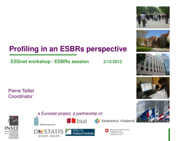 Profiling in an ESBRs perspective ESSnet workshop / ESBRs session            3/12/2012