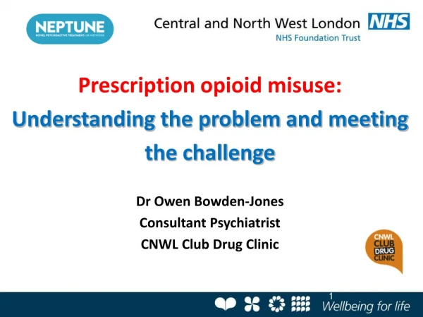 Prescription opioid misuse: Understanding the problem and meeting the challenge