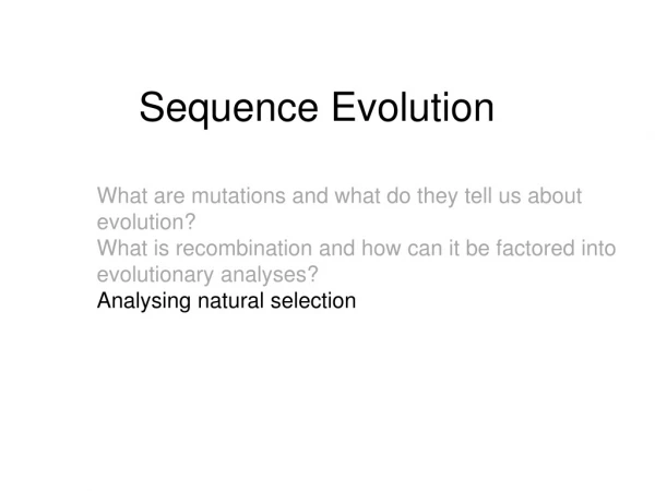 Sequence Evolution