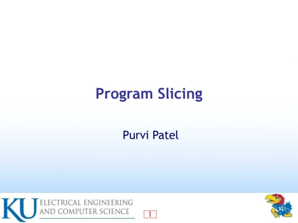 Program Slicing