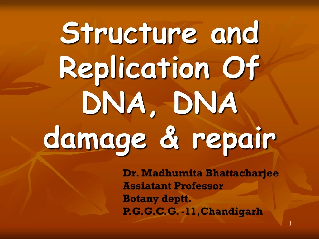 structure and replication of dna dna damage repair