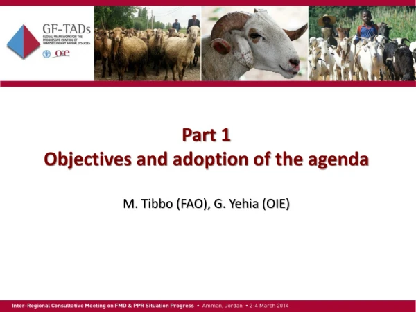 Part 1  Objectives and adoption of the agenda M. Tibbo (FAO), G.  Yehia  (OIE)