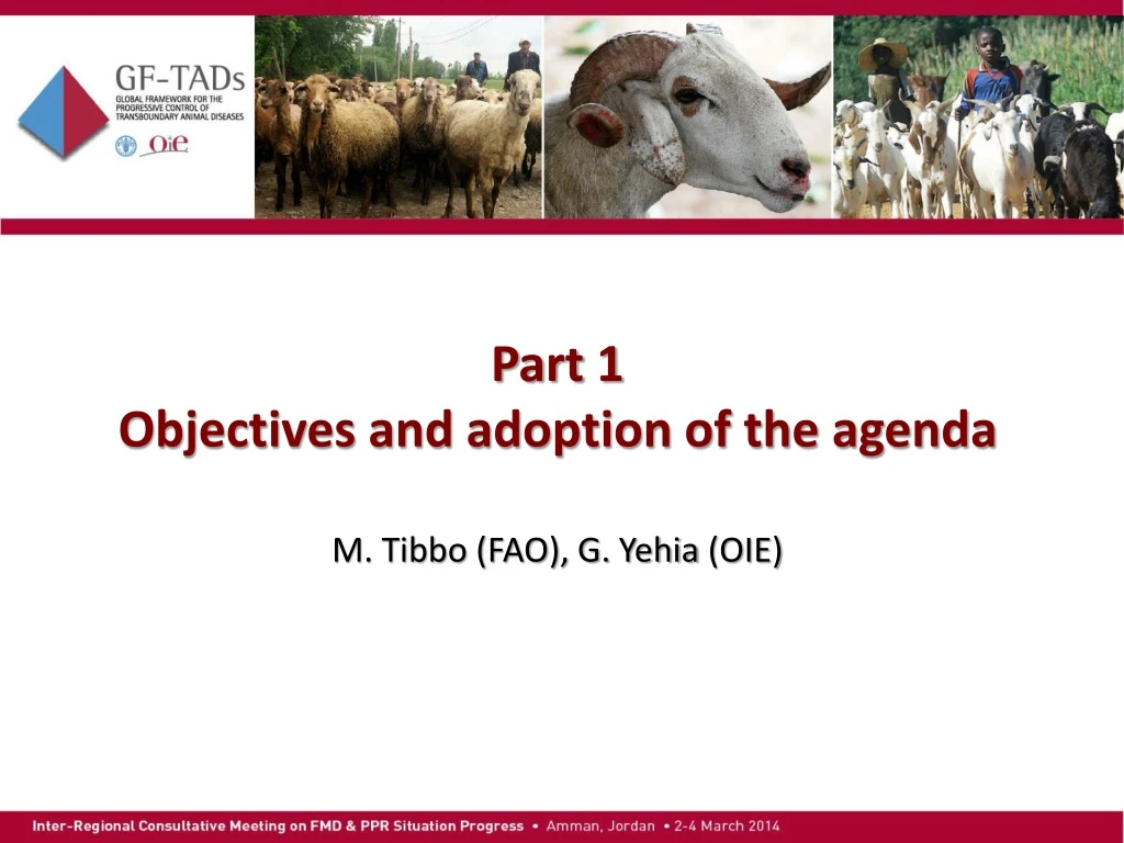 part 1 objectives and adoption of the agenda