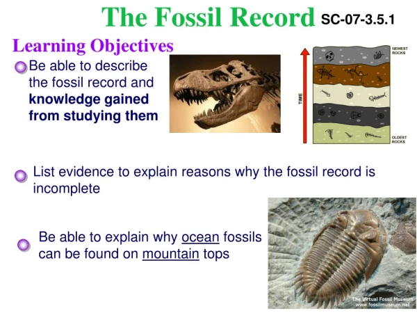 The Fossil Record