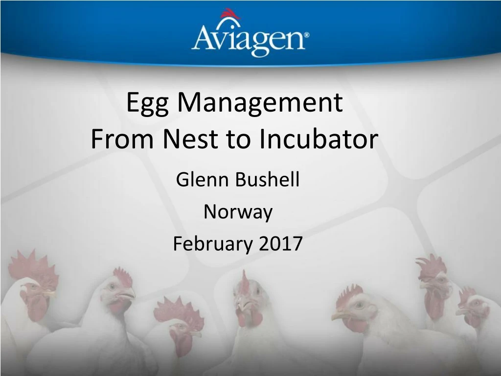 egg management from nest to incubator