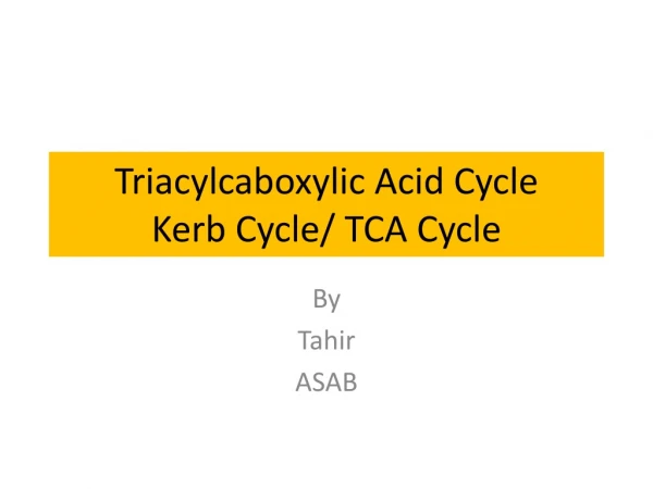 Triacylcaboxylic Acid Cycle Kerb Cycle/ TCA Cycle