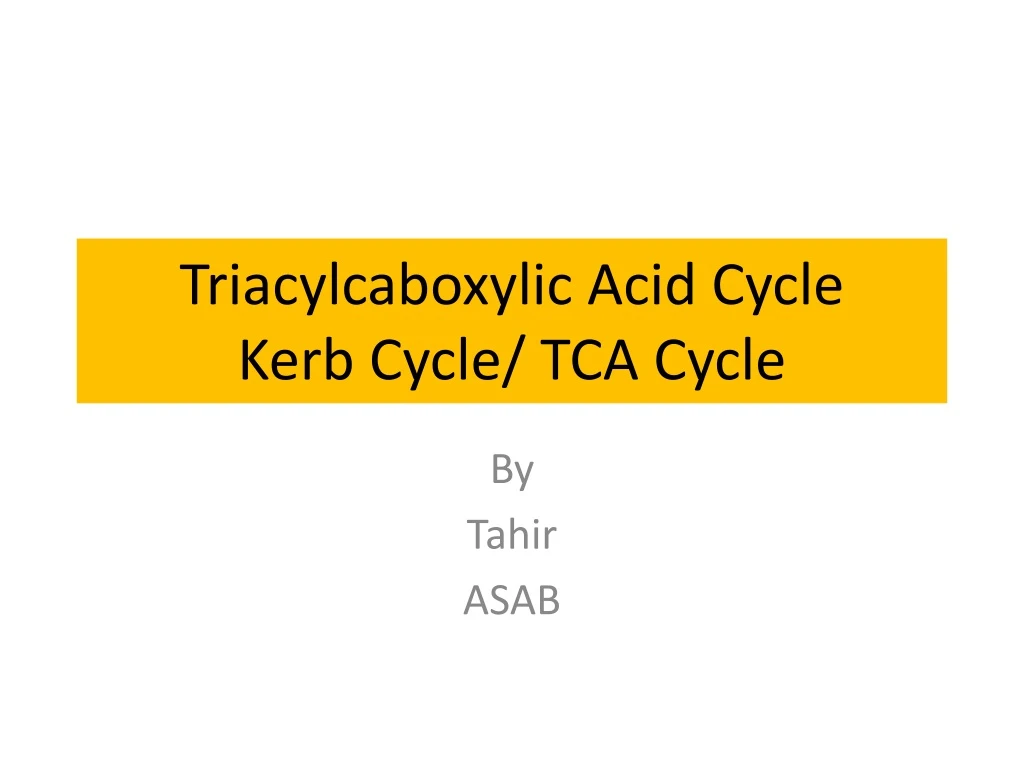 triacylcaboxylic acid cycle kerb cycle tca cycle