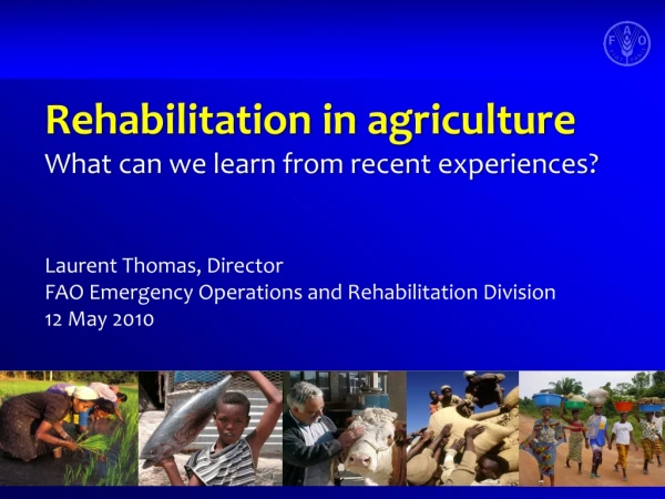 Rehabilitation in agriculture  What can we learn from recent experiences?