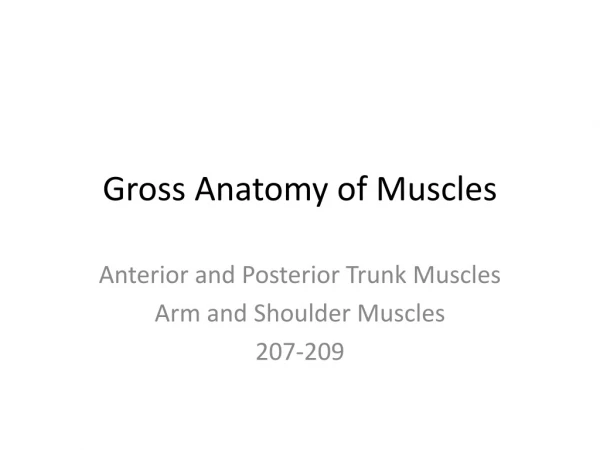 Gross Anatomy of Muscles
