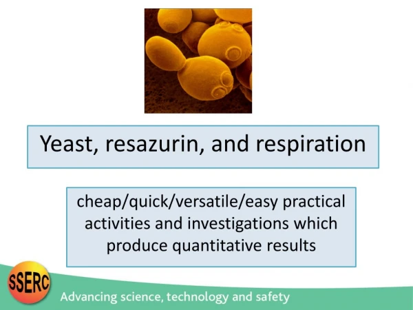 Yeast,  resazurin , and respiration